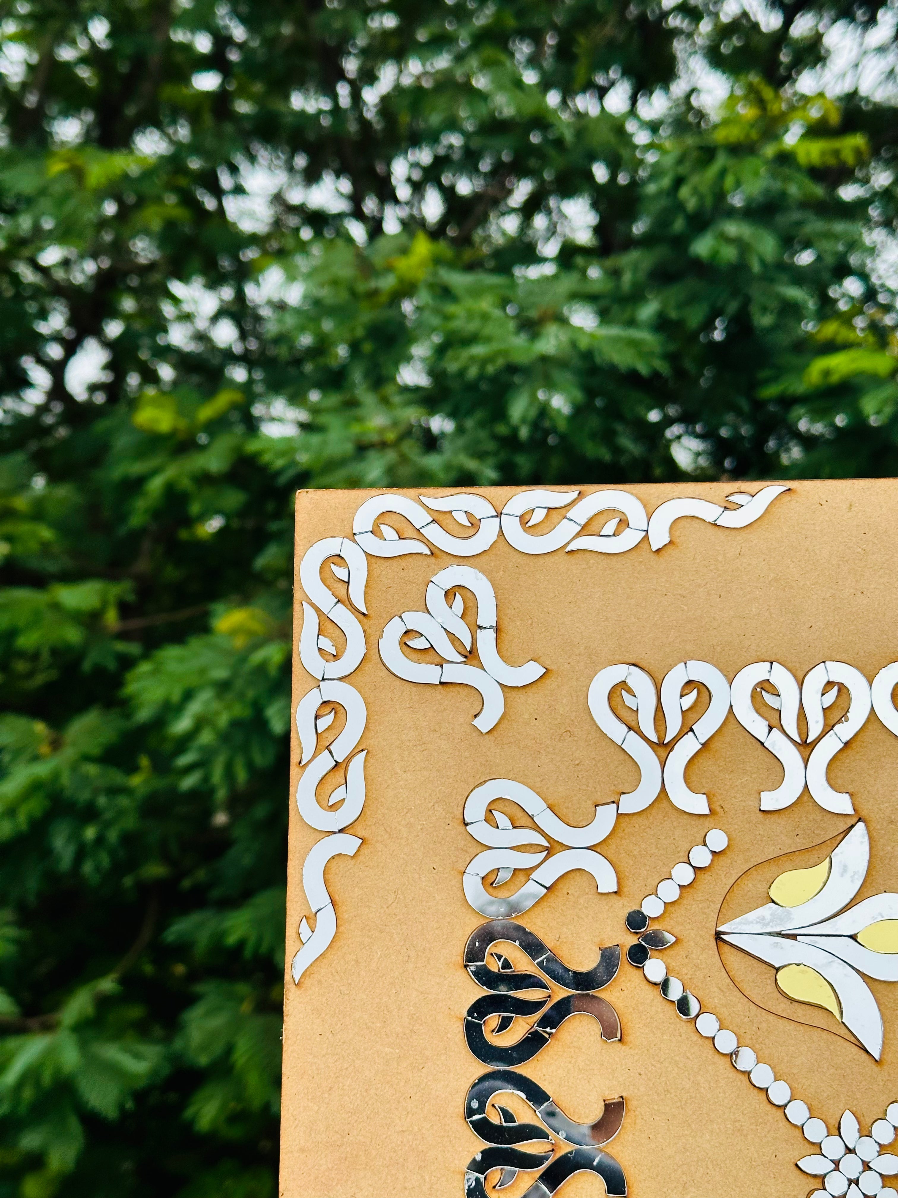 Fancy Mirror Lace (L- 1422)