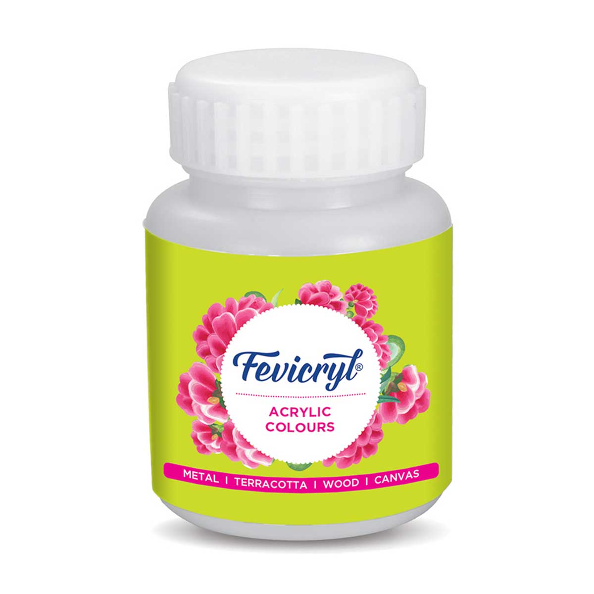 Fevicryl Art & Craft Paint
